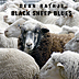 Black Sheep Blues